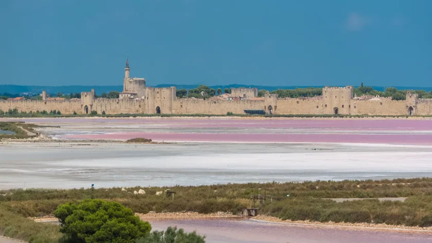 decouverte-immersive-un-joyau-medieval-au-coeur-de-la-camargue-et-ses-recits-enchantes