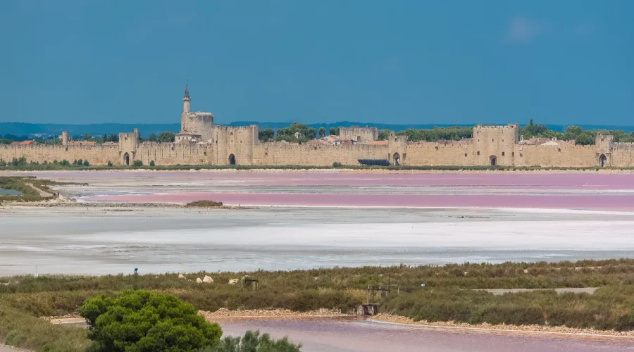 decouverte-immersive-un-joyau-medieval-au-coeur-de-la-camargue-et-ses-recits-enchantes