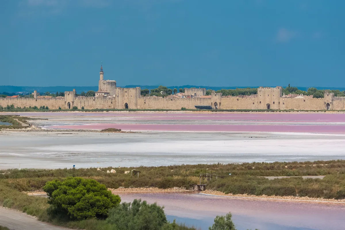 Découverte immersive : un joyau médiéval au cœur de la Camargue et ses récits enchantés