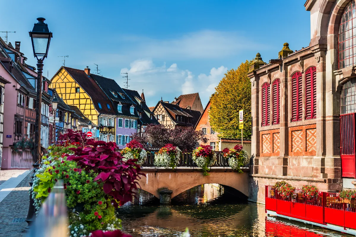 Découvrez la capitale des vins d&rsquo;Alsace : un voyage au cœur du charme traditionnel alsacien