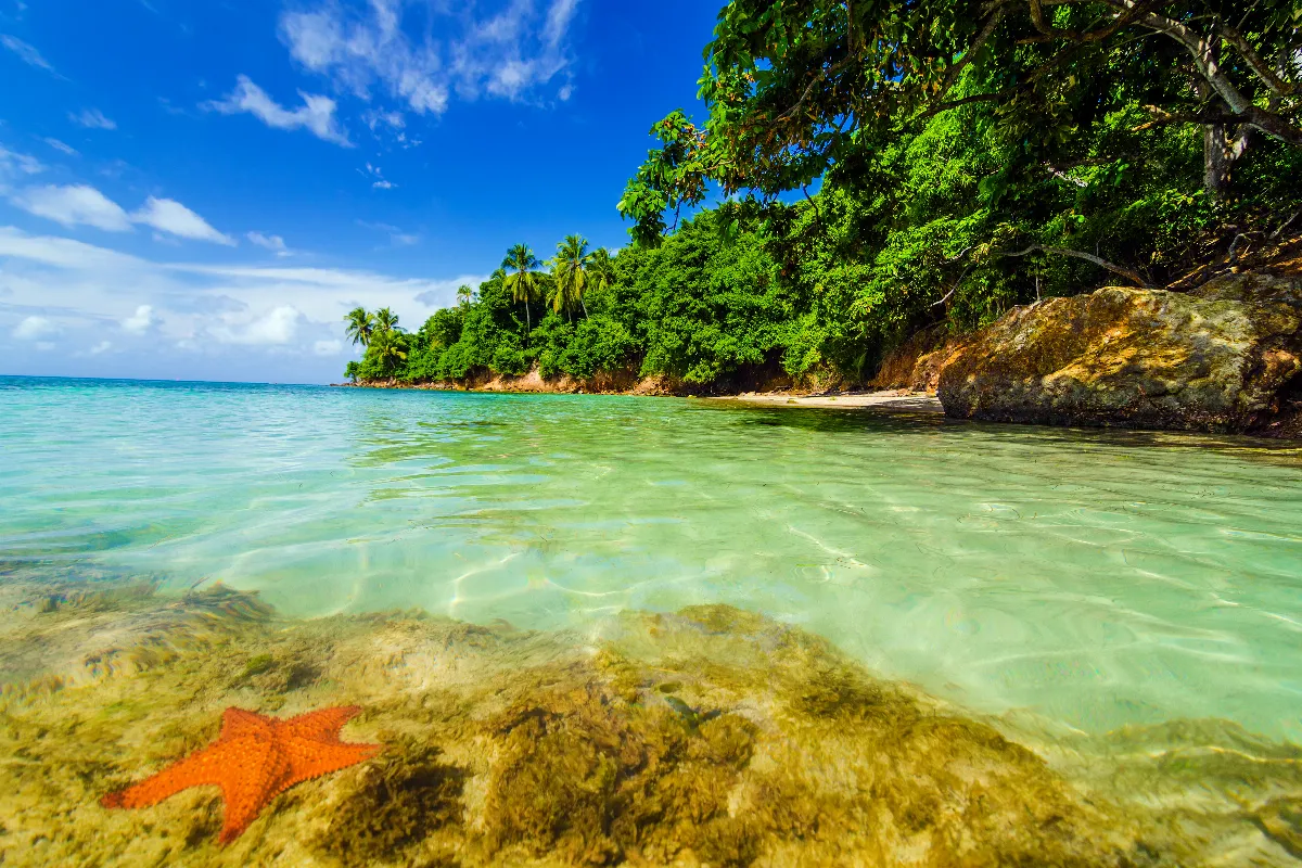 Découvrez l&rsquo;île méditerranéenne méconnue des touristes, un paradis printanier à explorer