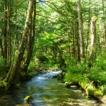 en-ardeche-partez-en-randonnee-vers-une-source-secrete-un-petit-paradis-cache-a-decouvrir