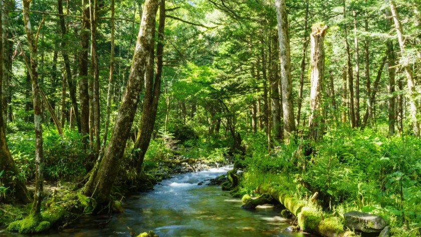 en-ardeche-partez-en-randonnee-vers-une-source-secrete-un-petit-paradis-cache-a-decouvrir