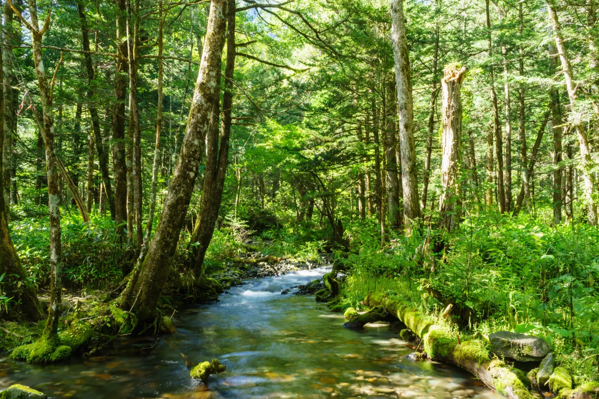 En Ardèche, partez en randonnée vers une source secrète, un petit paradis caché à découvrir