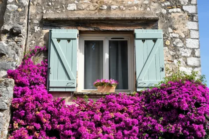 vous-netes-pas-prets-pour-cet-eden-floral-a-quelques-kilometres-de-paris