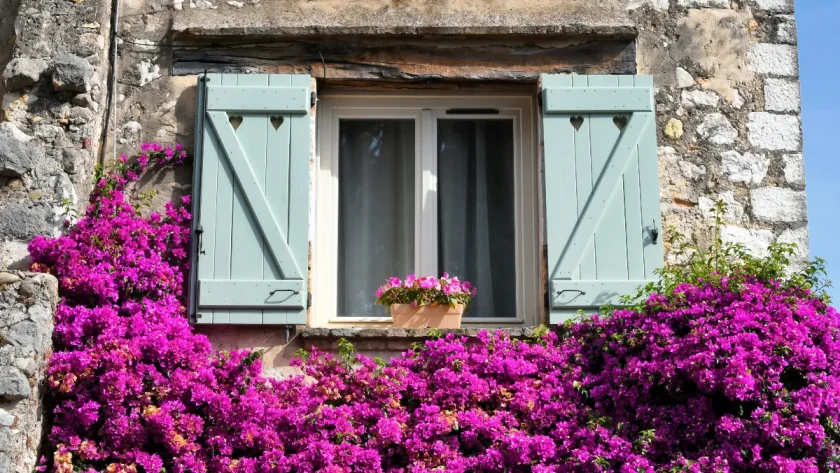 vous-netes-pas-prets-pour-cet-eden-floral-a-quelques-kilometres-de-paris