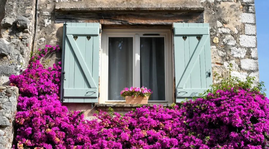vous-netes-pas-prets-pour-cet-eden-floral-a-quelques-kilometres-de-paris