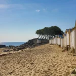 considere-comme-un-petit-paradis-vendeen-decouvrez-ce-tresor-cache