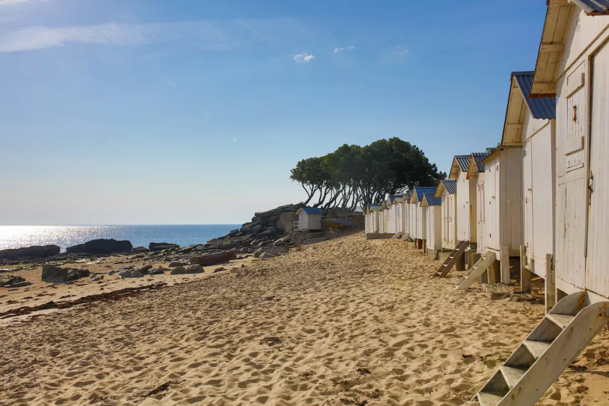 Considéré comme un petit paradis vendéen, découvrez ce trésor caché