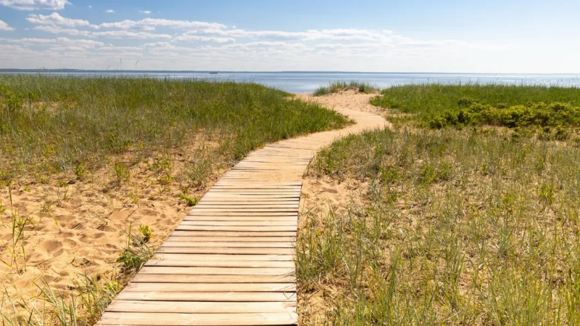 du-sable-des-dunes-et-un-silence-apaisant-decouvrez-ce-sanctuaire-breton-meconnu