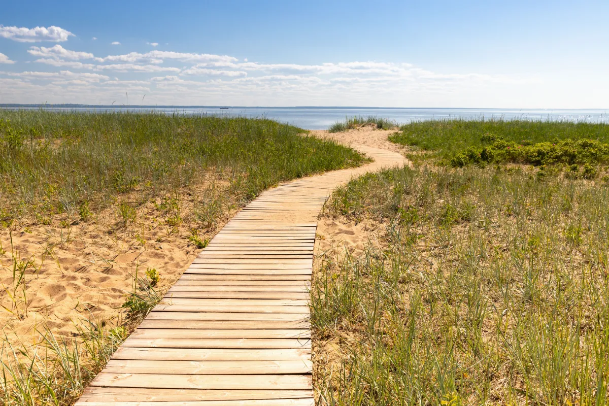 Du sable, des dunes et un silence apaisant : découvrez ce sanctuaire breton méconnu