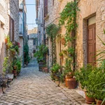 explorez-le-village-du-loiret-elu-plus-beau-village-de-france-un-paradis-fleuri-qui-celebre-la-rose