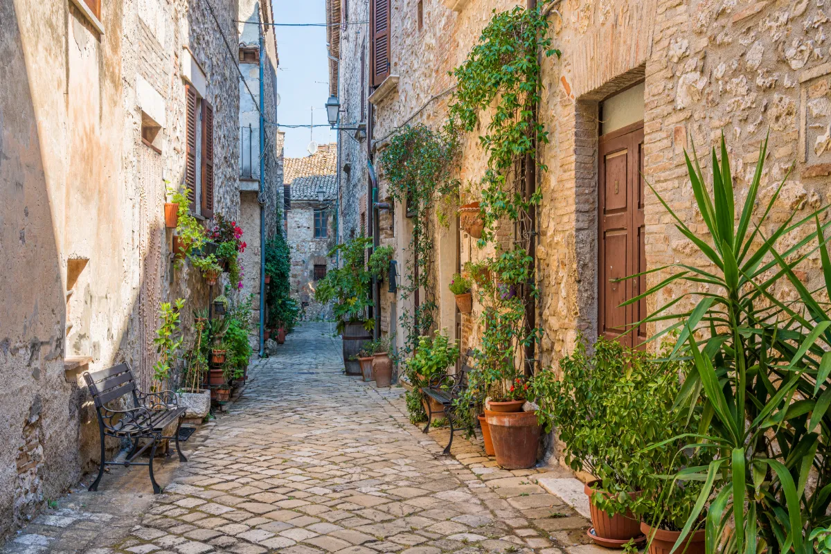 Explorez le village du Loiret, élu « plus beau village de France », un paradis fleuri qui célèbre la rose