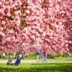 ou-sortir-ce-week-end-huit-adresses-dans-le-square-xxl-du-grand-paris-pour-prendre-lair-et-bien-manger
