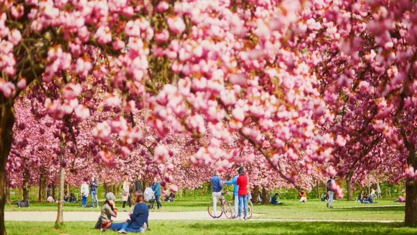 ou-sortir-ce-week-end-huit-adresses-dans-le-square-xxl-du-grand-paris-pour-prendre-lair-et-bien-manger