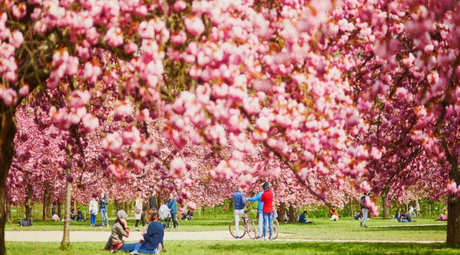 ou-sortir-ce-week-end-huit-adresses-dans-le-square-xxl-du-grand-paris-pour-prendre-lair-et-bien-manger