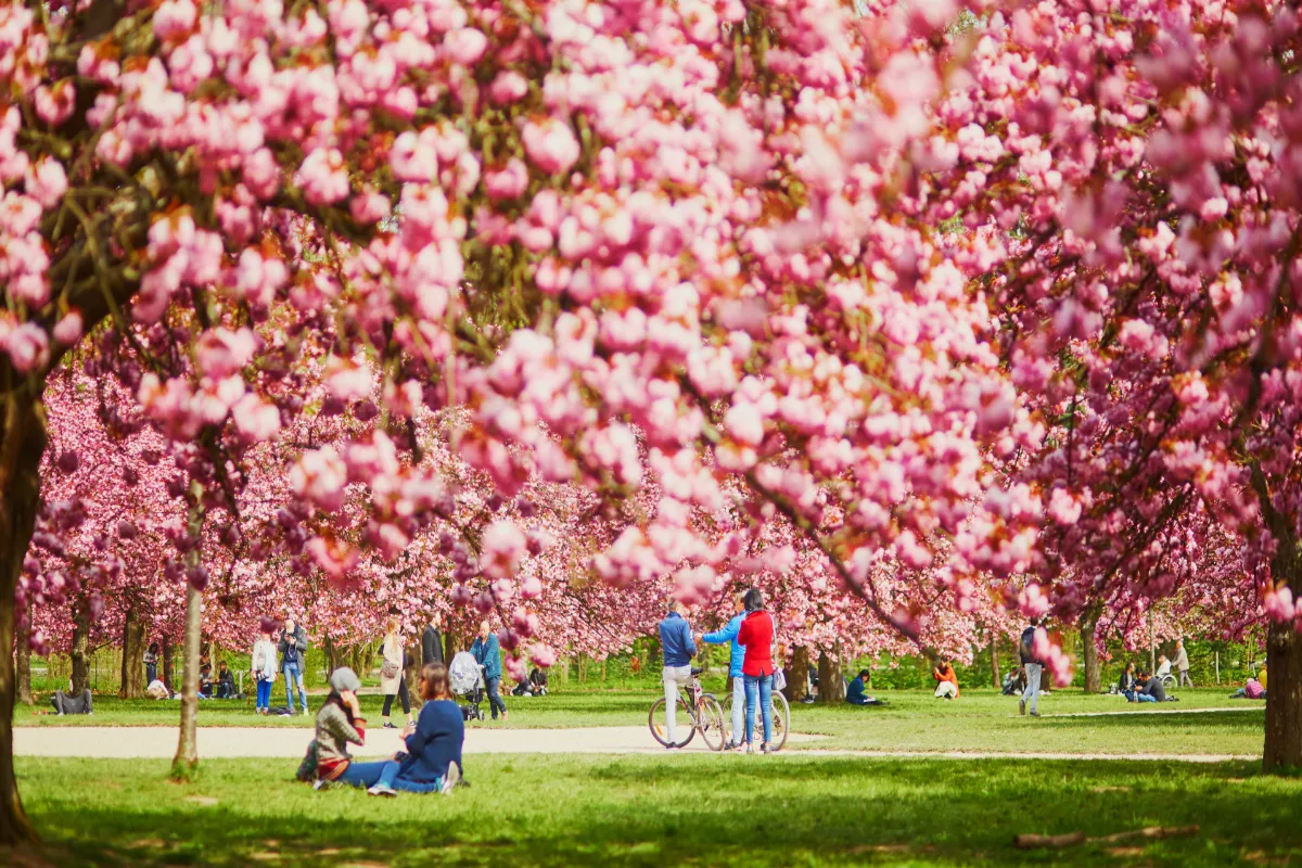 Où sortir ce week-end ? Huit adresses dans le Square XXL du Grand Paris pour prendre l&rsquo;air et bien manger