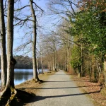 a-seulement-1h30-de-paris-decouvrez-sille-le-guillaume-avec-sa-foret-legendaire-et-son-chateau-exceptionnel