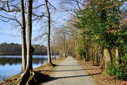 a-seulement-1h30-de-paris-decouvrez-sille-le-guillaume-avec-sa-foret-legendaire-et-son-chateau-exceptionnel
