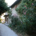 veritable-perle-de-la-region-auvergne-rhone-alpes-cette-petite-commune-vaut-le-detour