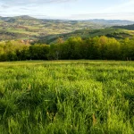 a-quelques-kilometres-de-lyon-profitez-de-ce-cadre-naturel-incroyable-et-apaisant