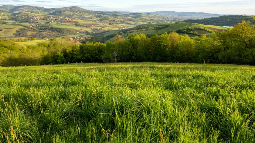 a-quelques-kilometres-de-lyon-profitez-de-ce-cadre-naturel-incroyable-et-apaisant