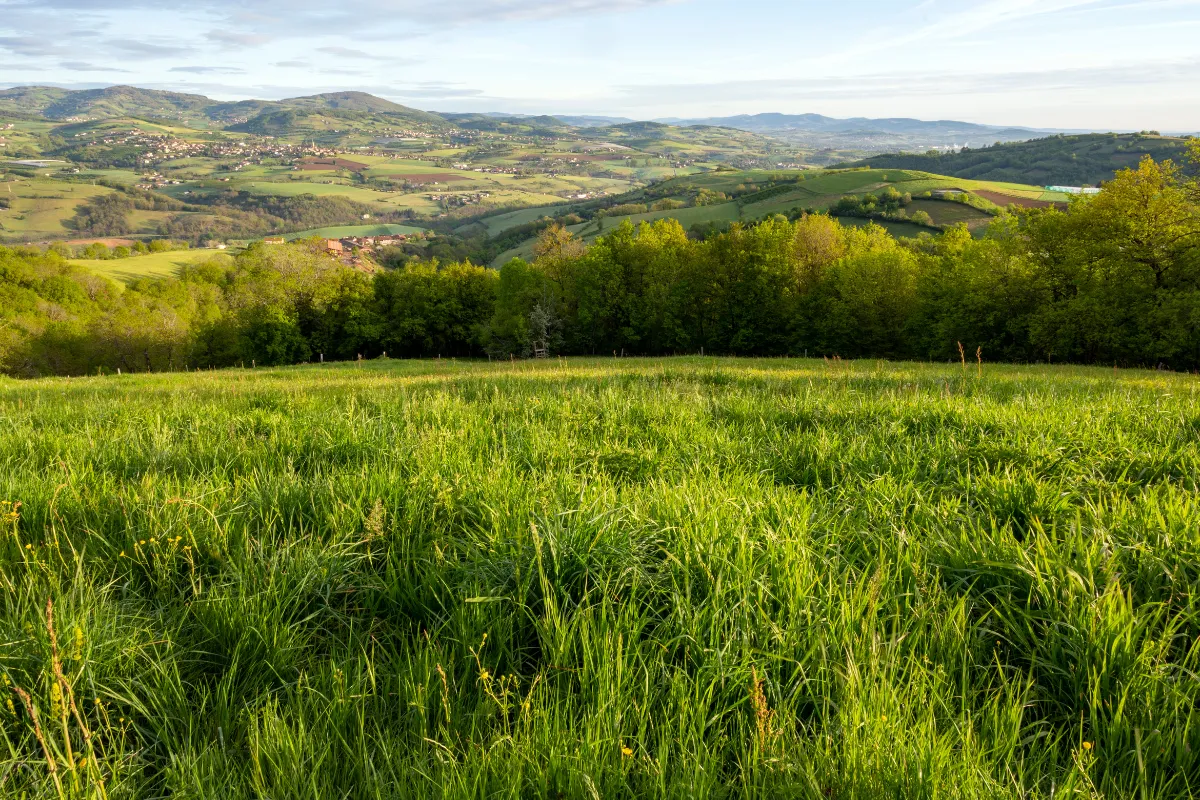 A quelques kilomètres de Lyon, profitez de ce cadre naturel incroyable et apaisant
