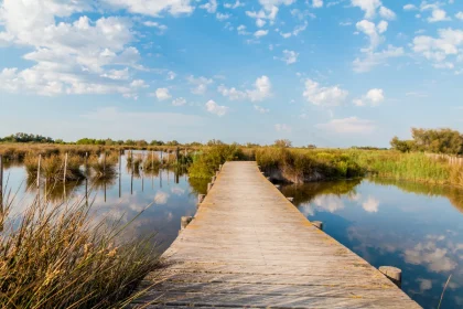la-camargue-voici-toutes-les-raisons-de-decouvrir-cette-region-pour-vos-vacances-dete