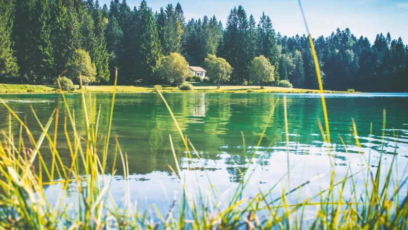 surnomme-le-petit-canada-cet-endroit-a-seulement-1h-de-lyon-est-a-decouvrir-de-toute-urgence