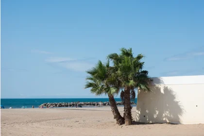 cette-plage-francaise-possede-lun-des-plus-beaux-sables-blancs-du-monde-voici-ou-trouver-ce-coin-de-paradis