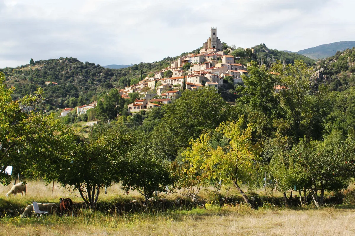 Sur les hauteurs des Pyrénées-Orientales, ce petit village médiéval méconnu fait partie des plus beaux de la région : découvrez lequel
