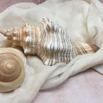 voici-pourquoi-vous-devriez-eviter-absolument-de-ramener-ces-4-souvenirs-de-vos-voyages