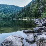 au-coeur-des-vosges-ce-parc-naturel-francais-donne-limpression-detre-au-canada-decouvrez-ce-lieu-naturel-incroyable