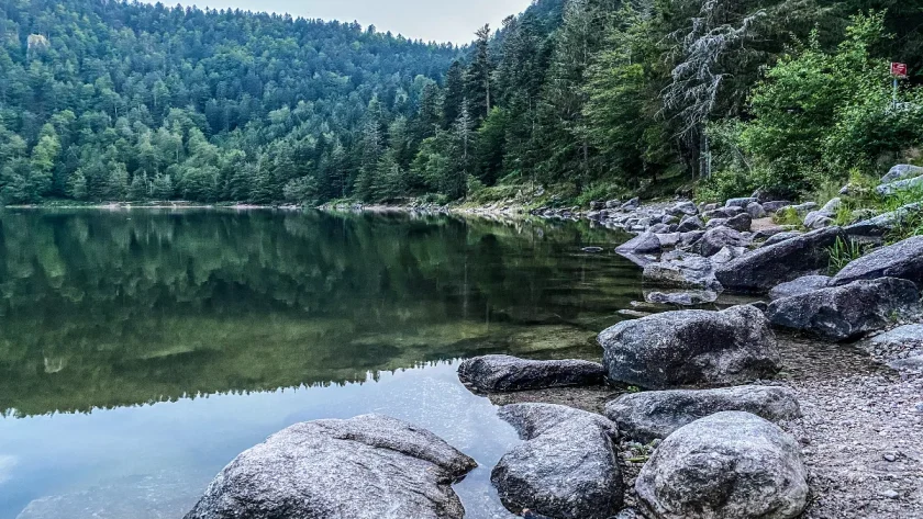 au-coeur-des-vosges-ce-parc-naturel-francais-donne-limpression-detre-au-canada-decouvrez-ce-lieu-naturel-incroyable