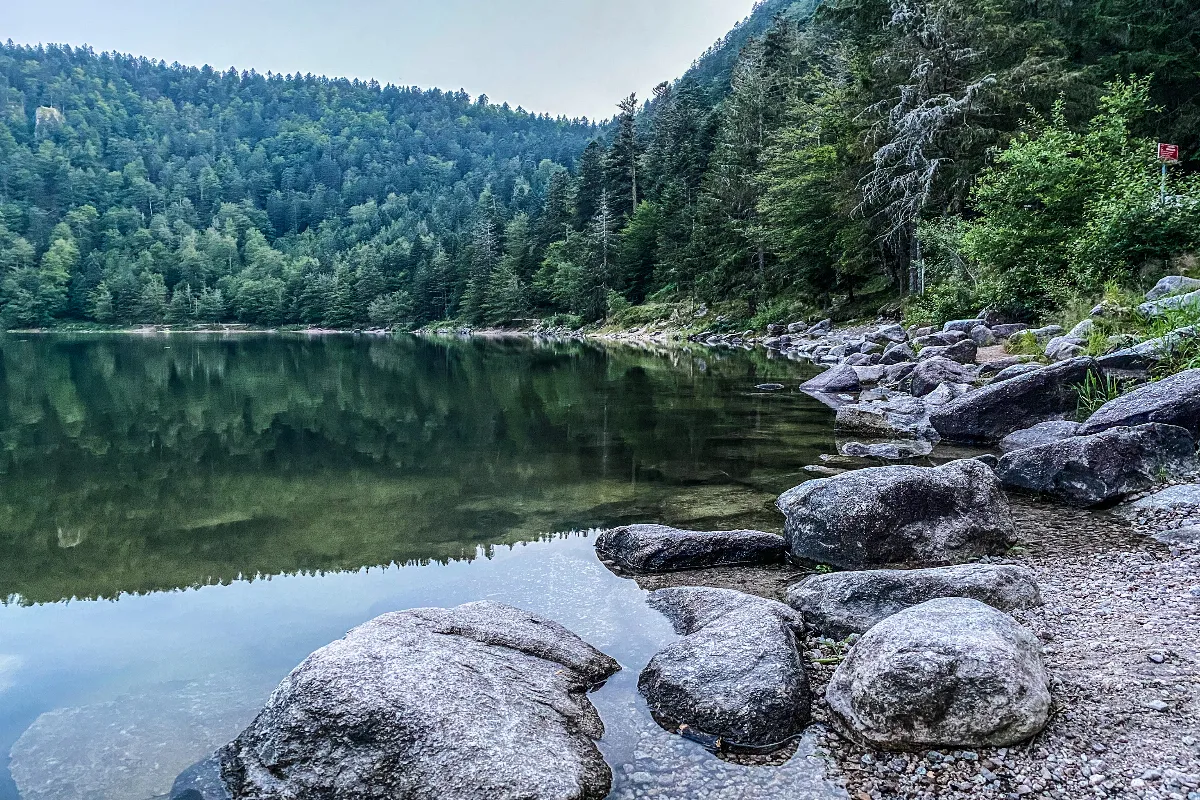 Au coeur des Vosges, ce parc naturel français donne l&rsquo;impression d&rsquo;être au Canada : découvrez ce lieu naturel incroyable