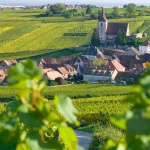 au-milieu-des-vignes-alsaciennes-ce-petit-village-meconnu-est-un-veritable-joyau-de-la-region