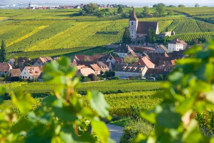 au-milieu-des-vignes-alsaciennes-ce-petit-village-meconnu-est-un-veritable-joyau-de-la-region