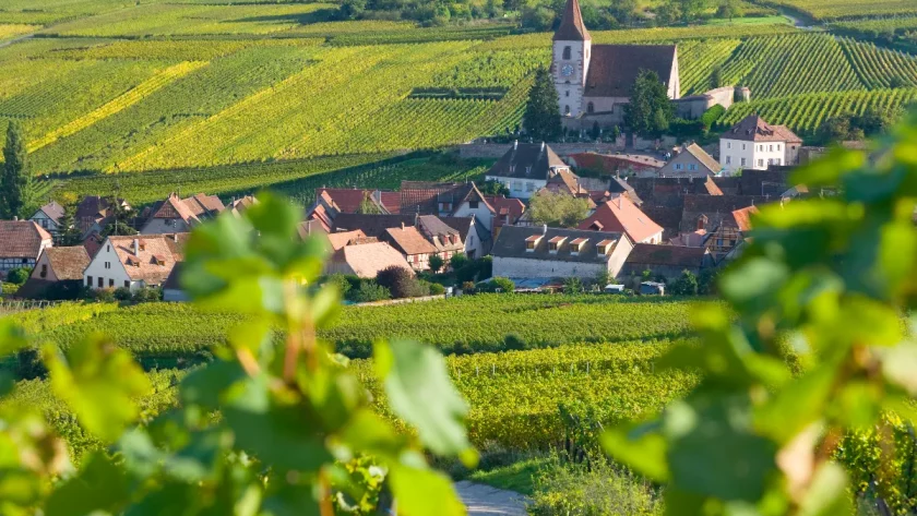 au-milieu-des-vignes-alsaciennes-ce-petit-village-meconnu-est-un-veritable-joyau-de-la-region