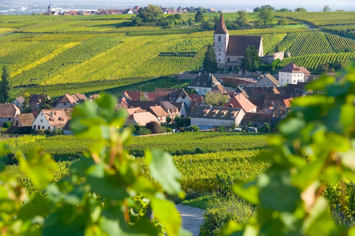 Au milieu des vignes alsaciennes, ce petit village méconnu est un véritable joyau de la région