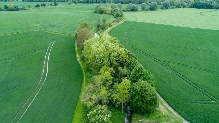 cet-hiver-observez-des-aurores-boreales-a-moins-dune-heure-de-paris-dans-ce-parc-naturel-decouvrez-ce-lieu-incroyable