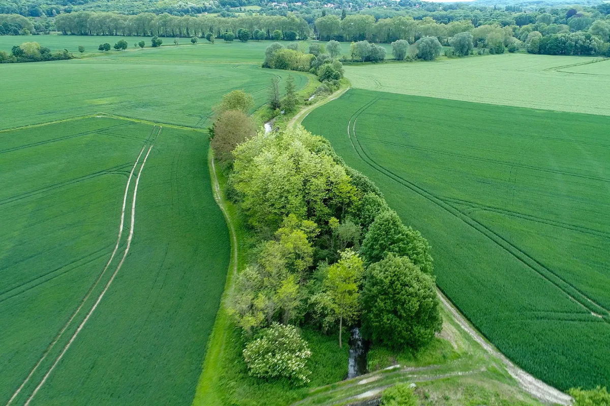 Cet hiver, observez des aurores boréales à moins d&rsquo;une heure de Paris dans ce parc naturel : découvrez ce lieu incroyable !