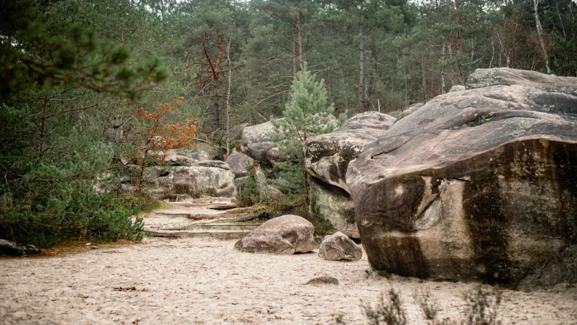 la-randonnee-la-plus-populaire-en-france-se-trouve-a-quelques-kilometres-de-paris-voici-ou-decouvrir-cette-belle-randonnee