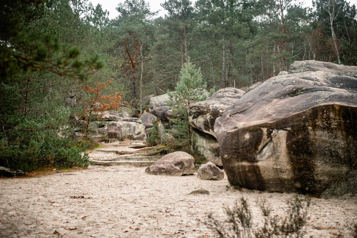 la-randonnee-la-plus-populaire-en-france-se-trouve-a-quelques-kilometres-de-paris-voici-ou-decouvrir-cette-belle-randonnee