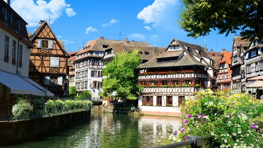 particulierement-dog-friendly-cette-ville-a-moins-de-2h-de-paris-regorge-datouts-voici-laquelle