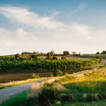 surnommee-le-village-des-chats-cette-commune-de-500-habitants-vaut-le-detour