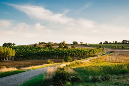surnommee-le-village-des-chats-cette-commune-de-500-habitants-vaut-le-detour