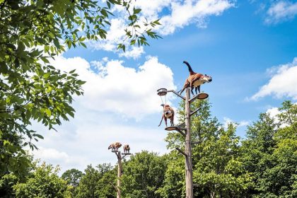 Animaparc, le parc d’attractions nature qui ravira petits et grands