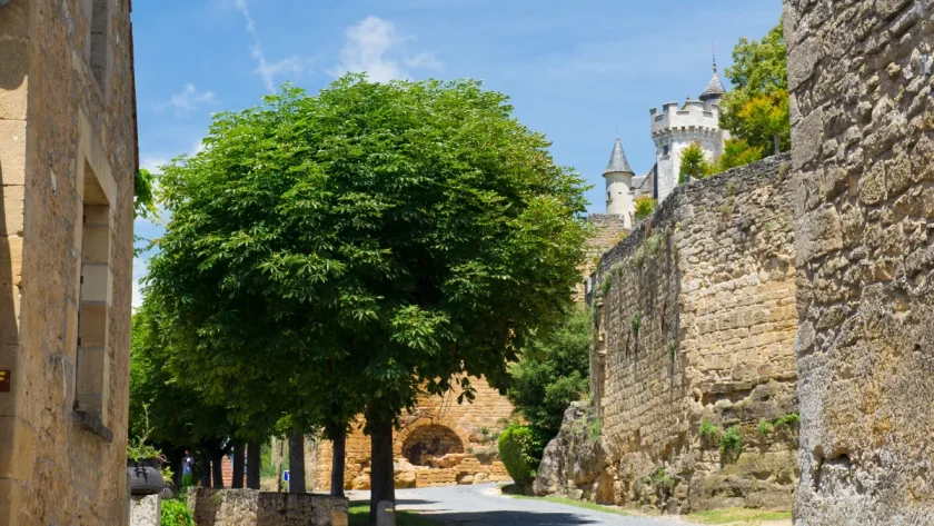 a-moins-d1-heure-de-paris-ce-village-est-un-veritable-tresor-medieval-avec-ses-monuments-historiques-et-ses-ruelles-pavees-voici-lequel
