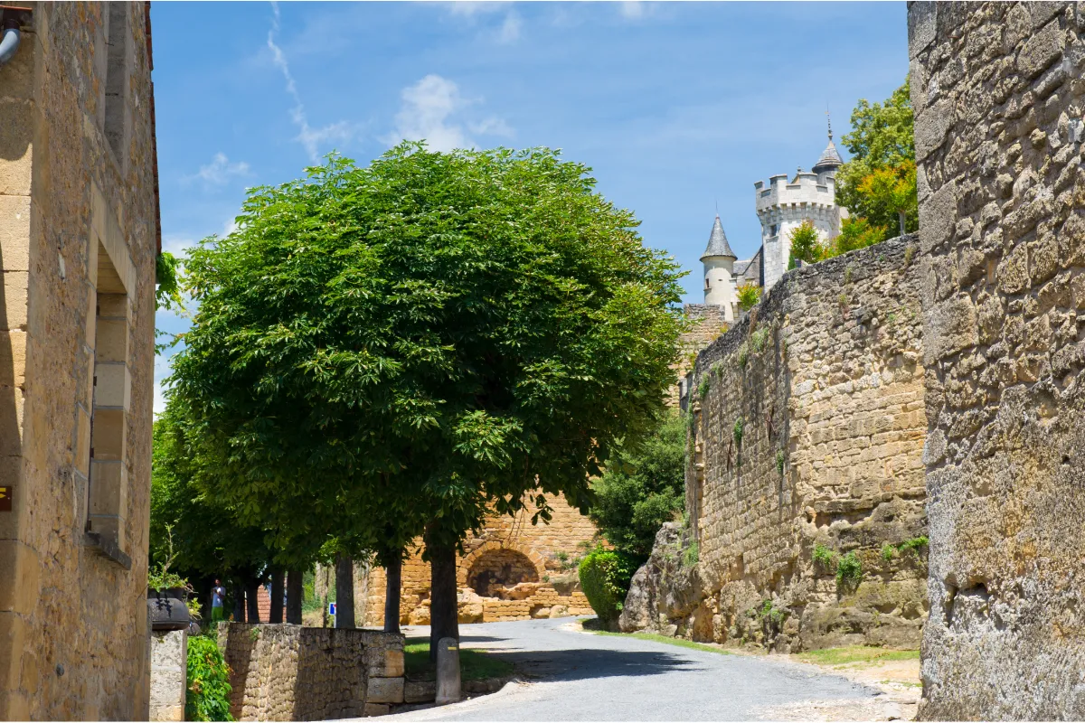 A moins d&rsquo;1 heure de Paris, ce village est un véritable trésor médiéval avec ses monuments historiques et ses ruelles pavées : voici lequel