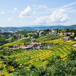 Ce village portugais surnommé 'le petit Tibet' émerveille avec ses paysages de terrasses dignes des pays d'Asie : Sistelo